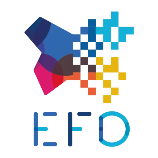 Ecole Française Digitale